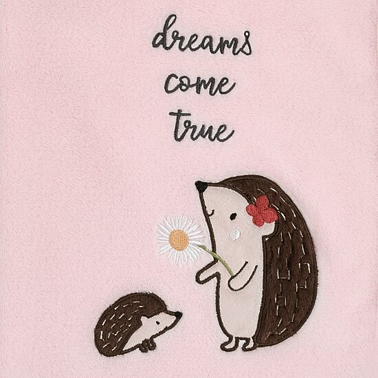 Nojo Fleece Dreams Come True Baby Blanket