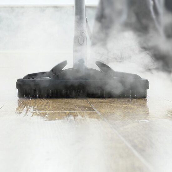 Ewbank Steam Chief With Cleaning Tools