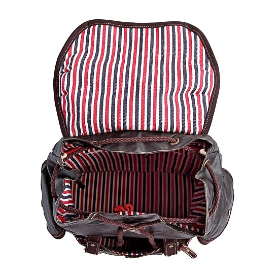 TSD Brand Dolphin Laptop Backpack