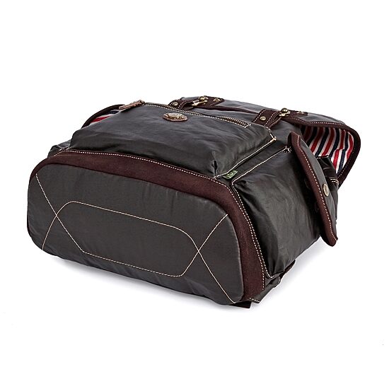 TSD Brand Dolphin Laptop Backpack