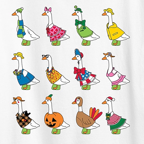 Seasonal Geese Womens Crew Neck Short Sleeve Classic Fit Graphic T-Shirt