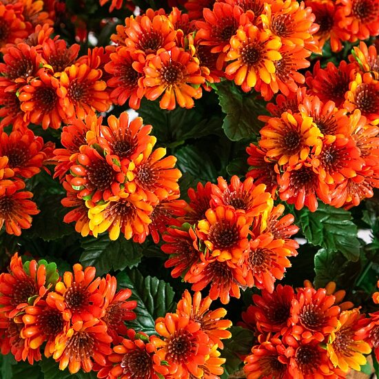 Nearly Natural 24" Chrysanthemum Artificial Plant