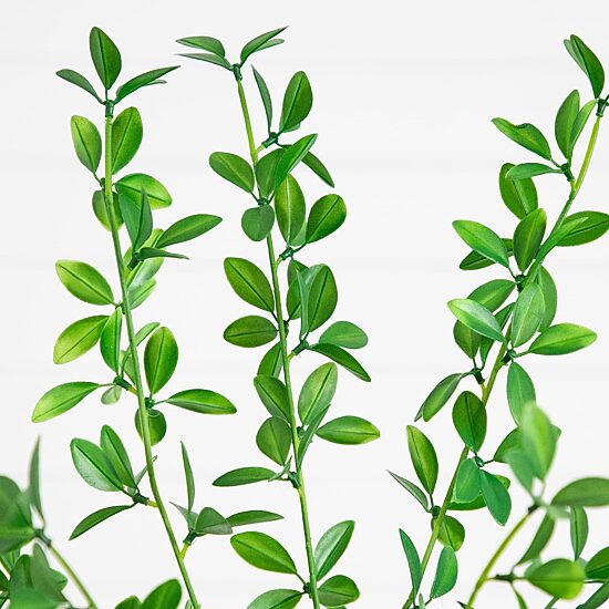 Nearly Natural 6ft Shady Lady Black Olive Indoor Artificial Tree