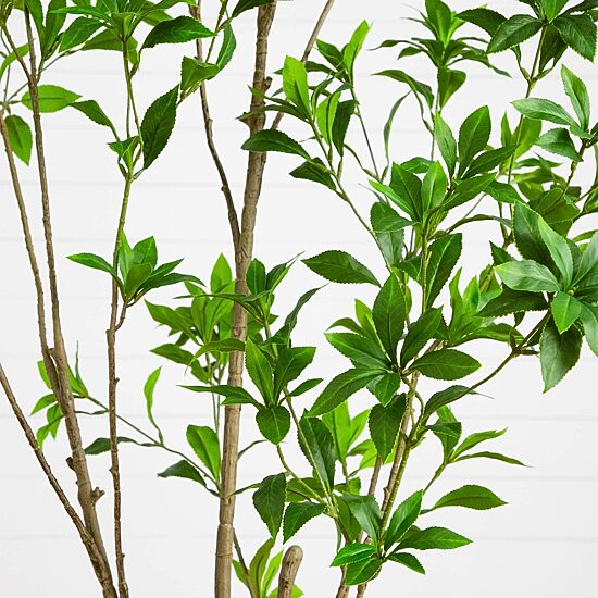 Nearly Natural 6ft Minimalist Japanese Pieris Indoor Artificial Tree