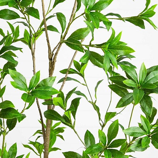 Nearly Natural 6ft Minimalist Japanese Pieris Indoor Artificial Tree