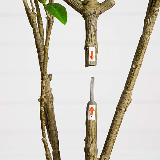 Nearly Natural 6ft Minimalist Japanese Pieris Indoor Artificial Tree