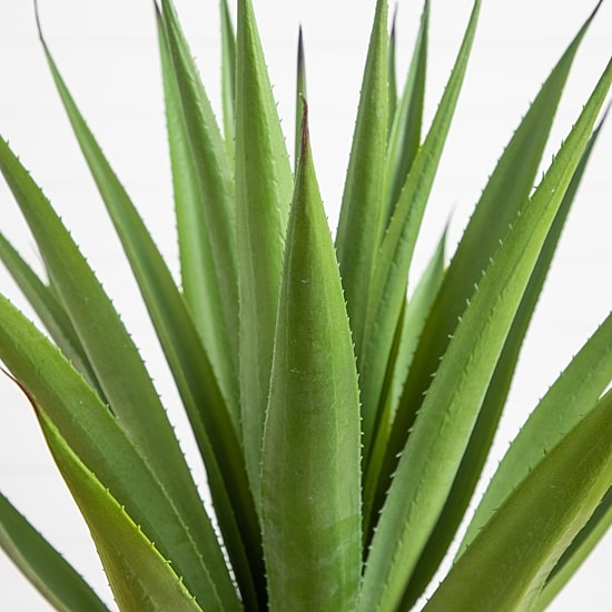 Nearly Natural 37" Agave White Tower Artificial Plant