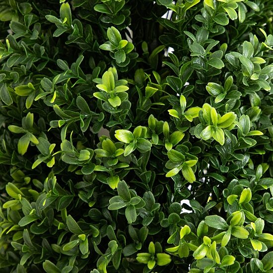 Nearly Natural 2-pc. 4ft Boxwood Integrated Ground Stake Artificial Plant