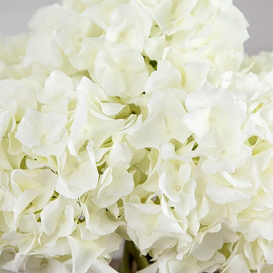 Nearly Natural 14" Hydrangea Glass Vase Artificial Flowers