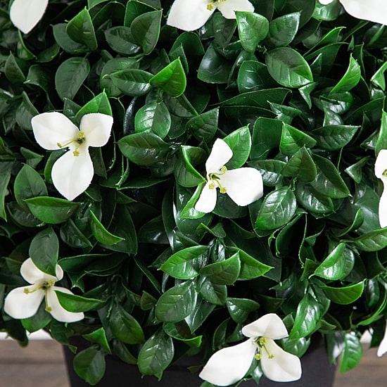 Nearly Natural 15" Boxwood Gardenia Artificial Plant