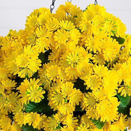 Nearly Natural 24" Chrysanthemum Artificial Plant