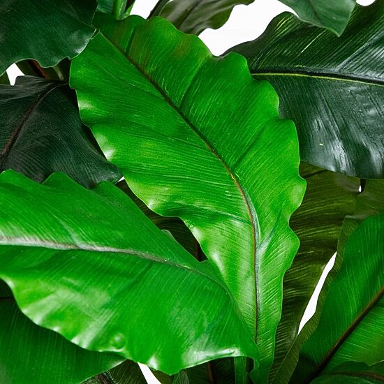 Nearly Natural 6ft Bird Nest Fern Indoor Outdoor Artificial Tree