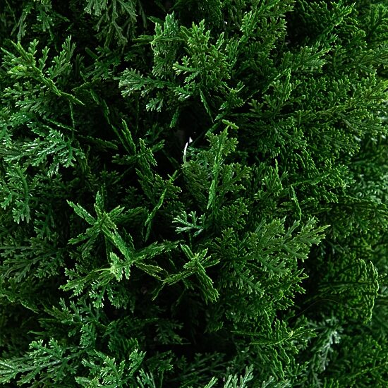 Nearly Natural 2-pc. 4ft Cedar Integrated Ground Stake Artificial Plant