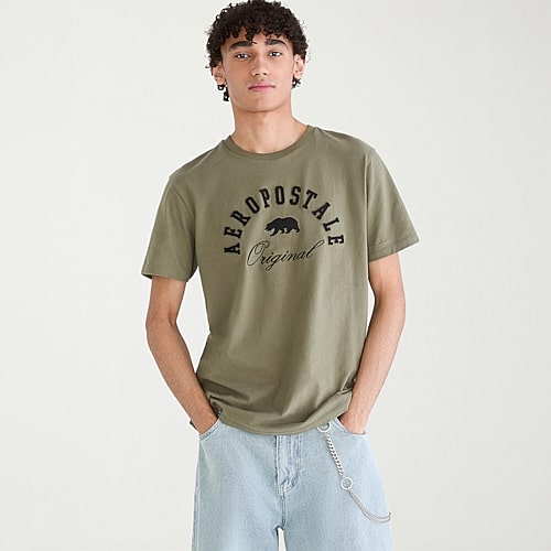 Aéropostale Mens Crew Neck Short Sleeve Regular Fit Graphic T-shirt In Green