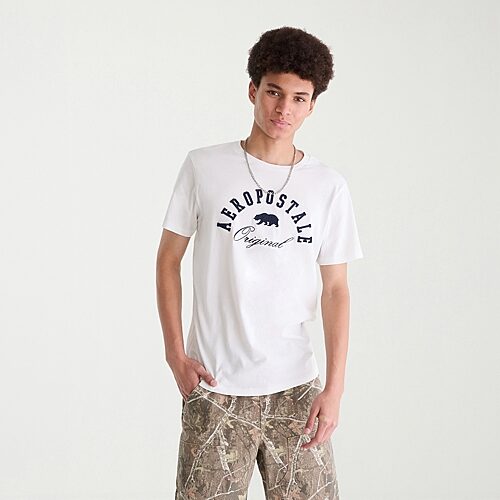 Aéropostale Mens Crew Neck Short Sleeve Regular Fit Graphic T-shirt In Multi
