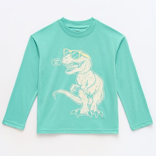 Thereabouts Kids' Little Boys Crew Neck Long Sleeve Oversized Graphic T-shirt In Green
