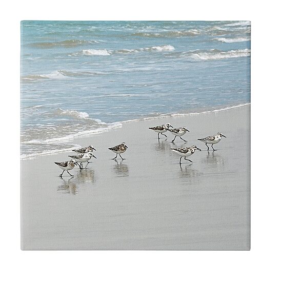 Stupell Industries Sandpipers Flock Sandy Beach Shore Canvas Art