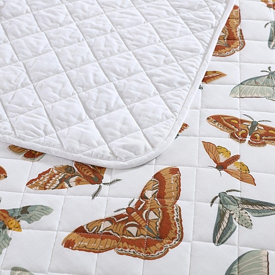 Eddie Bauer Wilford Butterfly Quilt Set