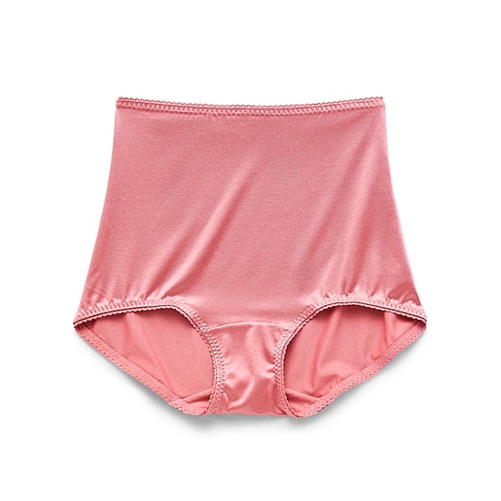 Underscore Rainbow Stretch Satin Control Briefs