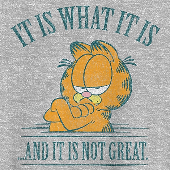 Novelty Mens Crew Neck Short Sleeve Classic Fit Garfield Big and Tall Graphic T-Shirt