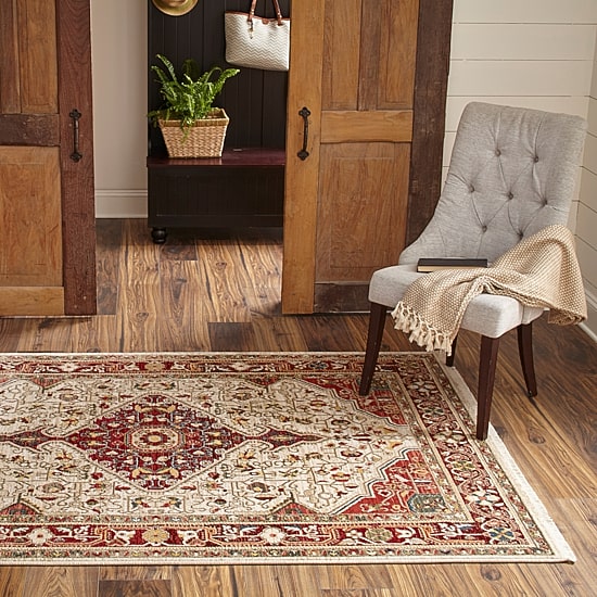 Momeni Lenox 2 Medallion Indoor Rectangular Accent Rug