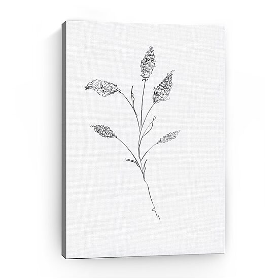Floral Sketch II Giclee Canvas Art