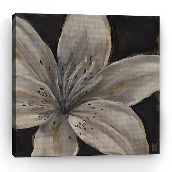 Botanic Sketchbook IV Giclee Canvas Art