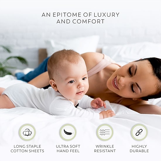 Aireolux 100% Cotton 600 Thread Count Ultra-Soft & Silky Wrinkle-Resistant Sheets & Pillowcases