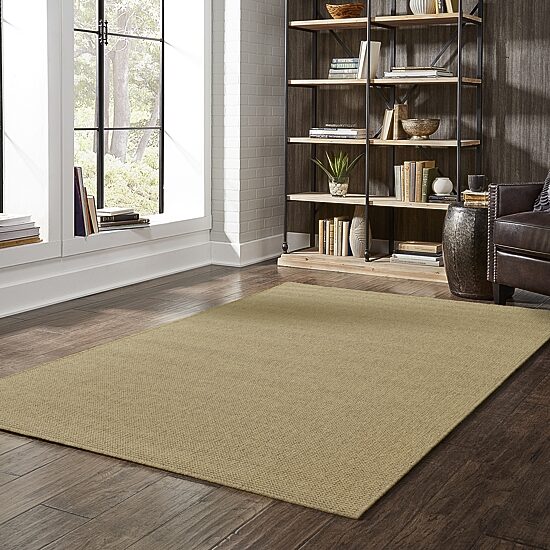 Covington Home Kehlani Flat Woven Solid Indoor Outdoor Rectangular Accent Rug