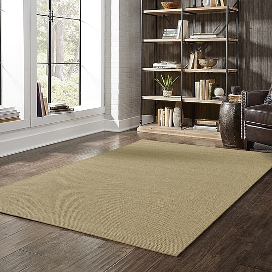 Covington Home Kehlani Flat Woven Solid Indoor Outdoor Rectangular Area Rug