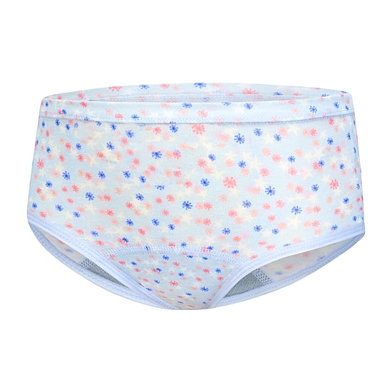 Hanes Potty Trainer Toddler Girls 6 Pack Briefs Tguptb