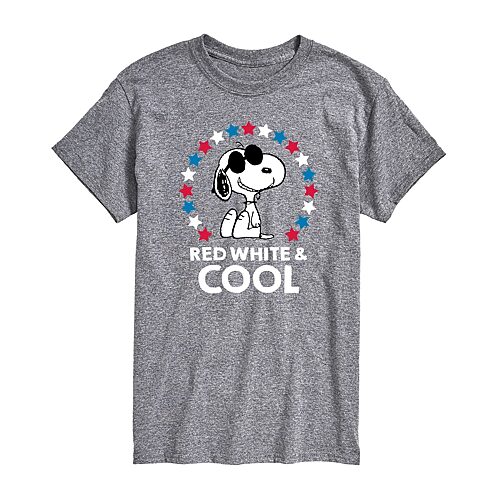 Mens Crew Neck Short Sleeve Classic Fit Peanuts Snoopy Big and Tall Graphic T-Shirt, 3x-large, Gray