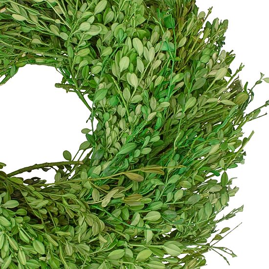 Northlight 15in Green Foliage Wreath
