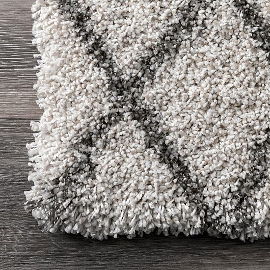 nuLoom Lenita Trellis Shaggy Rectangular Rug