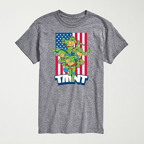 Novelty Mens Crew Neck Short Sleeve Regular Fit Teenage Mutant Ninja Turtles Graphic T-Shirt, Medium, Gray