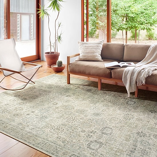 Loloi Skye Indoor Rectangular Accent Rug