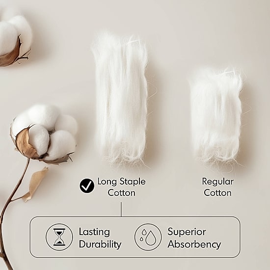 Madison Park Signature 800gsm 2-pc. Bath Sheet