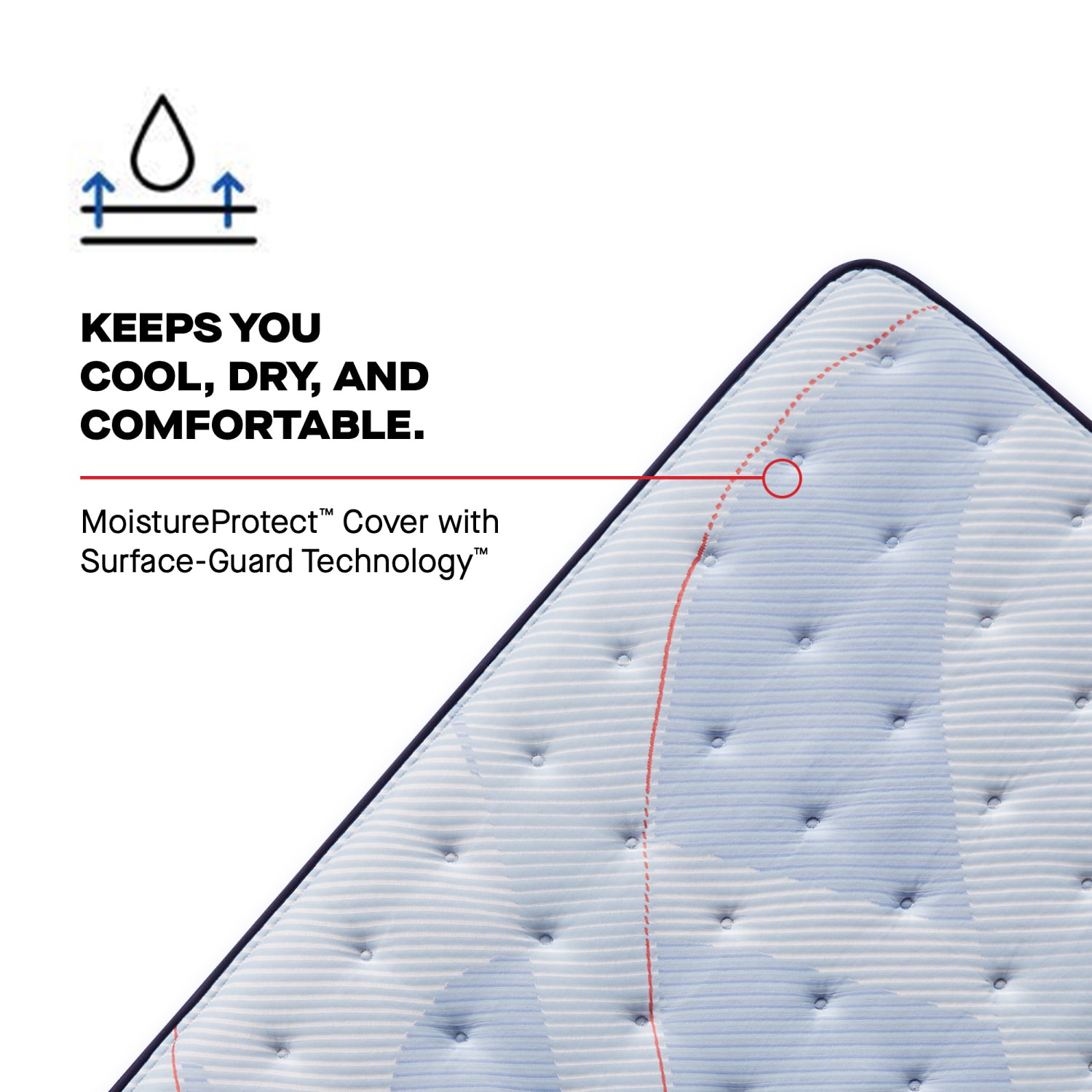 Sealy Posturepedic Ripley 13" Plush Tight Top - Mattress + Adjustable Base