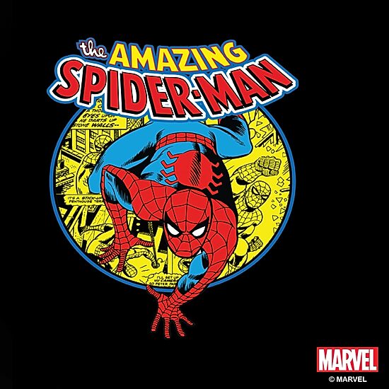Disney Collection Spiderman Urban Hero 17 Oz Stainless Steel Bottle