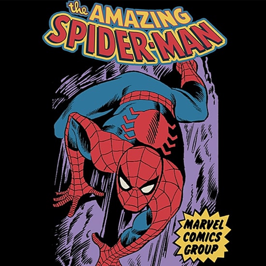 Disney Collection Spiderman Cover 27 Oz Stainless Steel Travel Mug