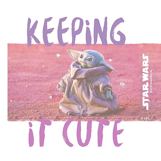 Disney Collection Star Wars Keeping It Cute 17 Oz Stainless Steel Bottle