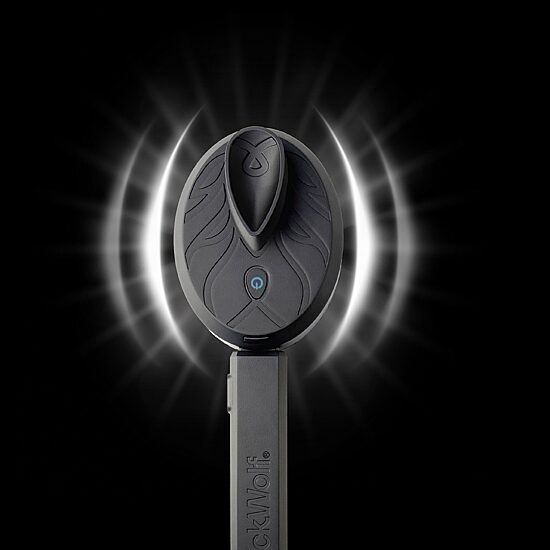 Black Wolf Sonic Scrubber Vibrating Face & Body Brush