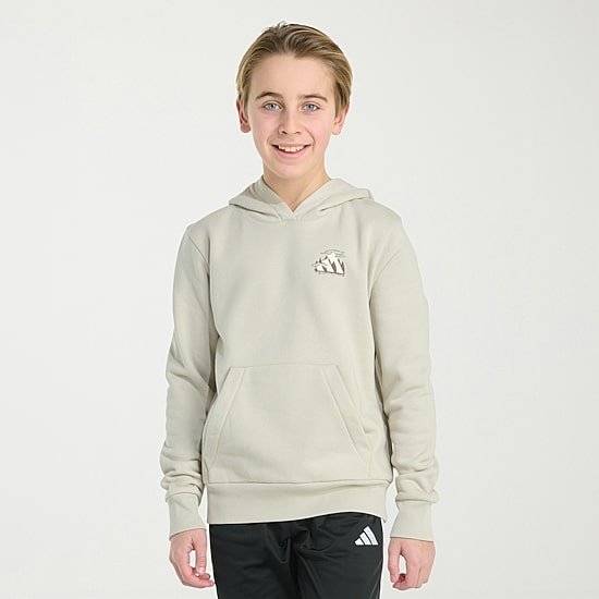 adidas Big Kid Boys Long Sleeve Active Hoodie