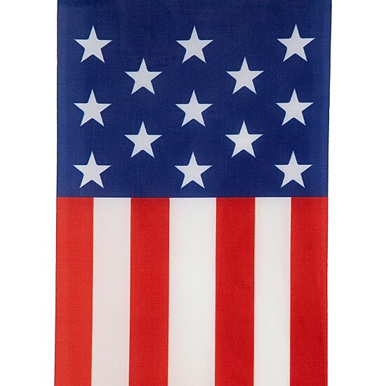 Northlight 9.75ft Swallowtail Hanging Wall Banner
