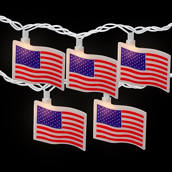 Northlight 7.5ft American Indoor Outdoor Patio String Lights
