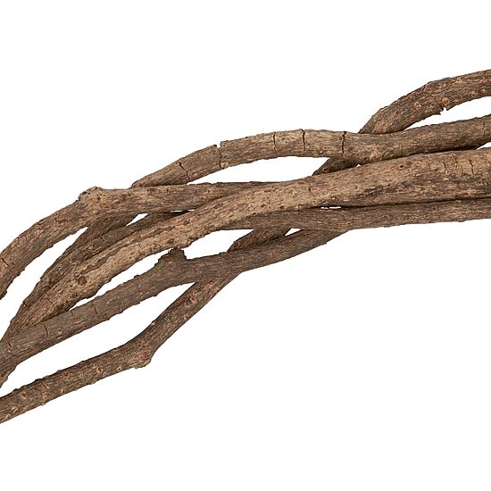 Northlight 24" Star Floral Twig Wreath