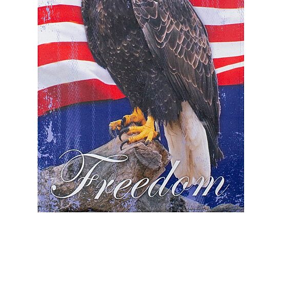 Northlight 12.5" Freedom Bald Eagle Outdoor Garden Flag