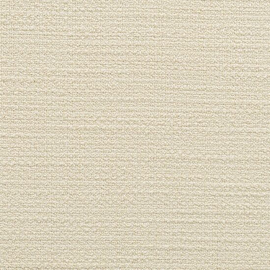 Madison Park Vela Dining Chair in Cream