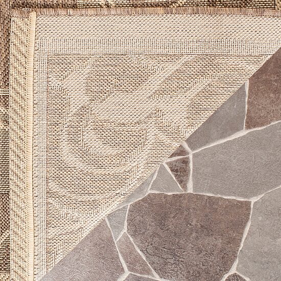 Safavieh Nazca Oriental Indoor Outdoor Rectangular Accent Rug
