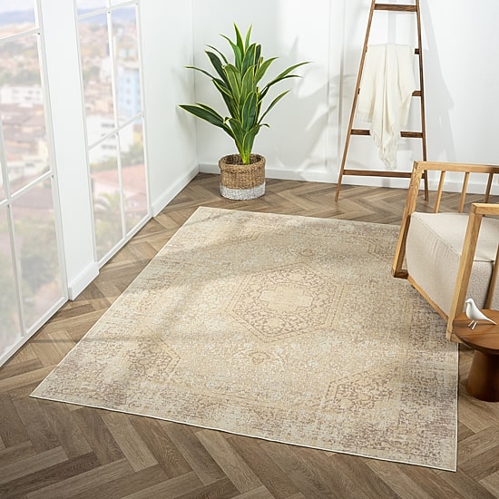 LR Home Aris Medallion Indoor Rectangular Accent Rug